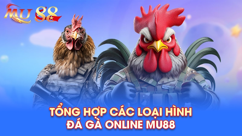 Các loại hình đá gà tại MU88