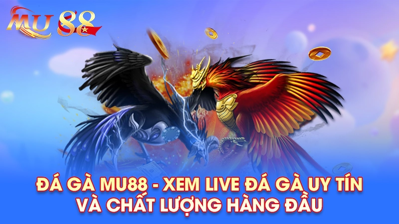 Sảnh đá gà MU88 nổi tiếng và đẳng cấp